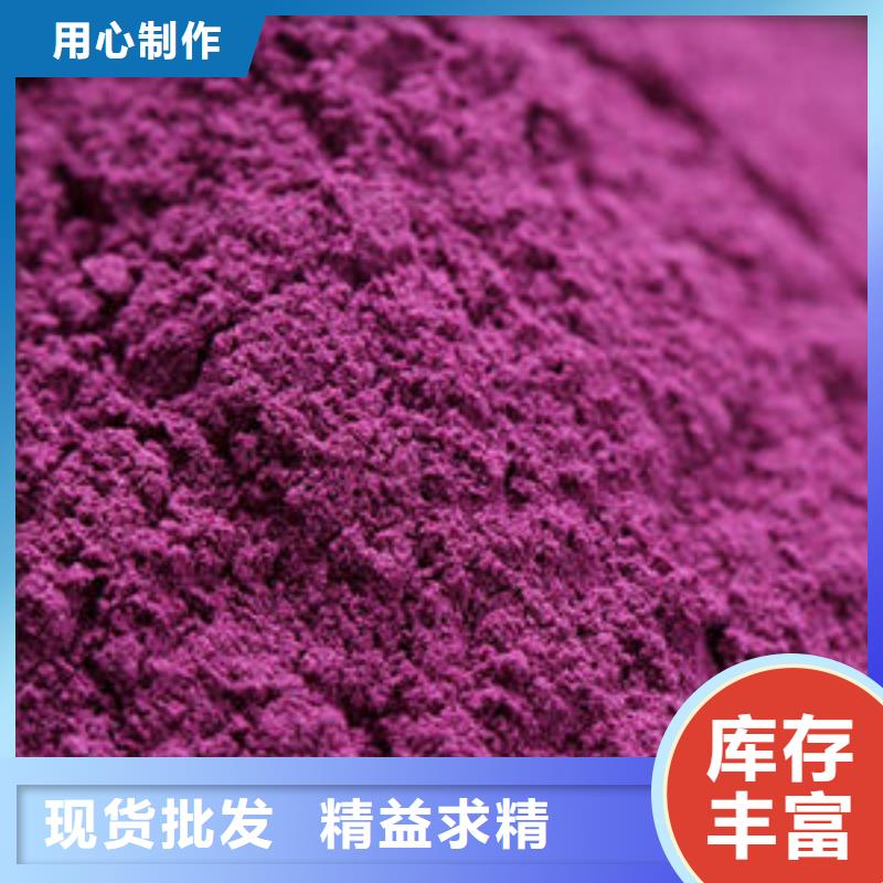 紫薯种子市场报价产地货源