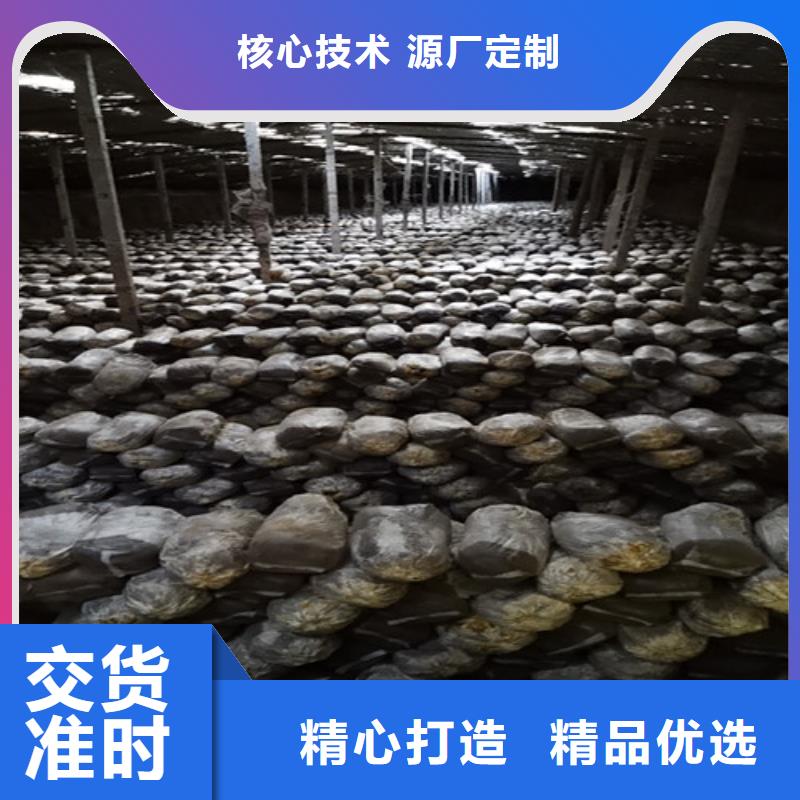 
灵芝粉-专注研发值得信赖