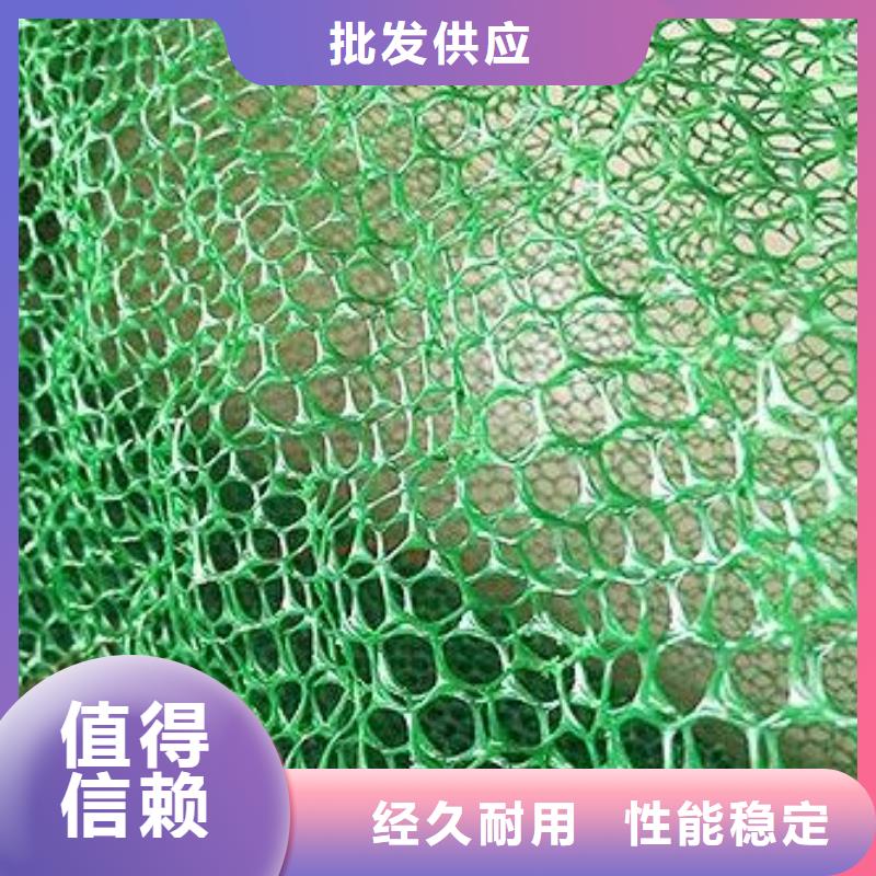 绿色环保，施工简便三维植被网厂家直销支持大批量采购