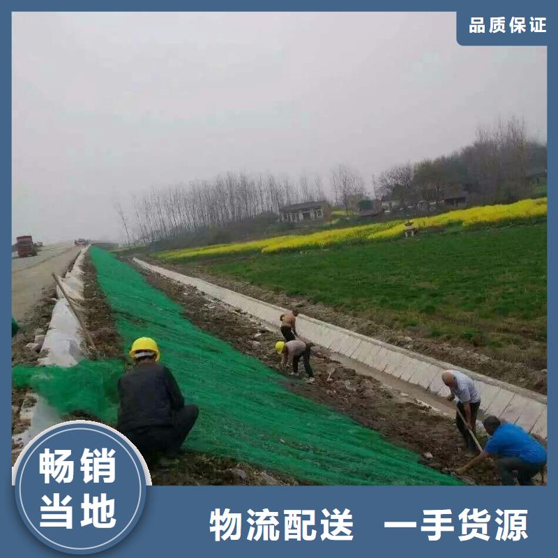 三维植被网行情本地生产厂家