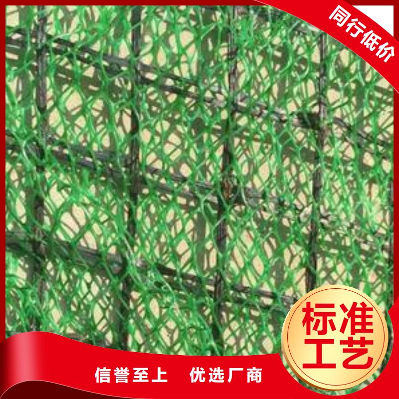 绿色三维网生产三维植被网生产实力优品