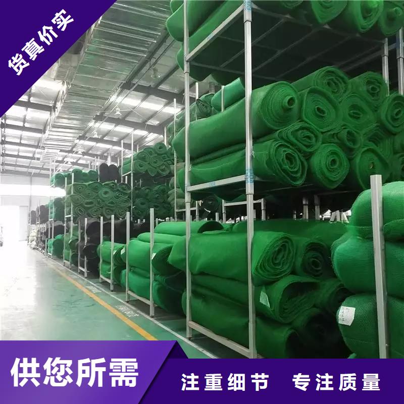 三维植被网2025发售价多少EM4三维土工植被网批发价格三维土工网垫——三维植被网2025年价格表【本地】品牌