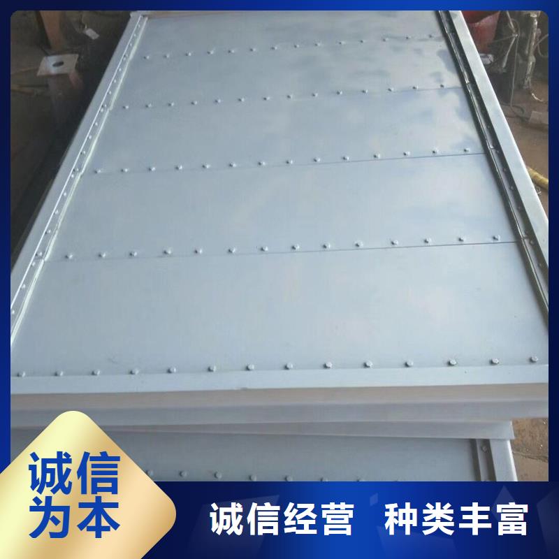 钢坝闸门水库发电站平面钢闸门精工细作质量保证选择我们没错