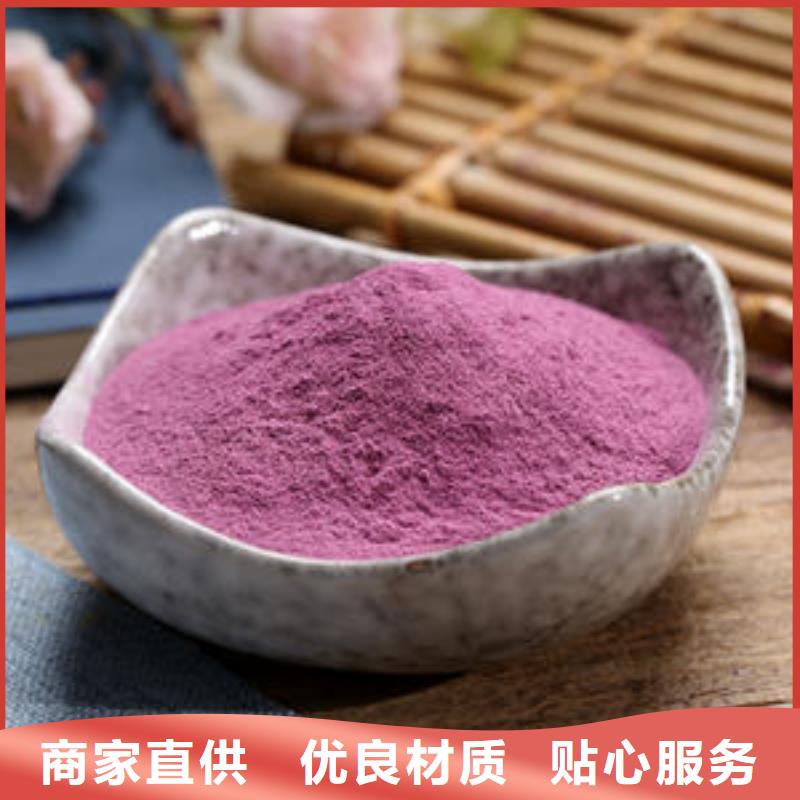 紫薯苗（济黑2号）厂家价格精心