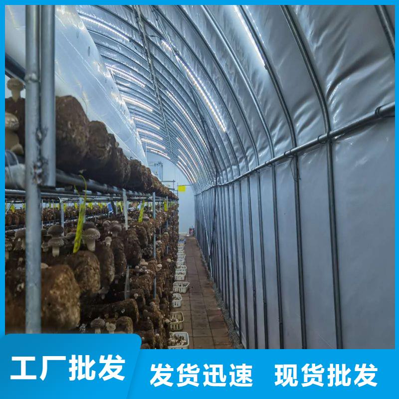 翠屏区暖棚怎么买品类齐全
