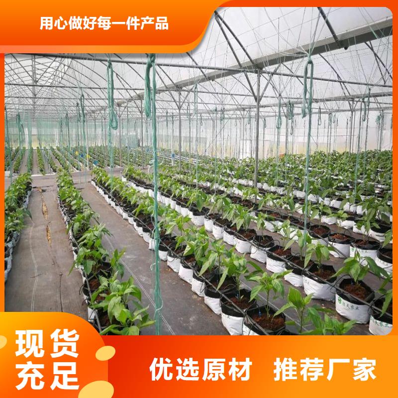 大的蔬菜连体大棚正规厂家质量三包
