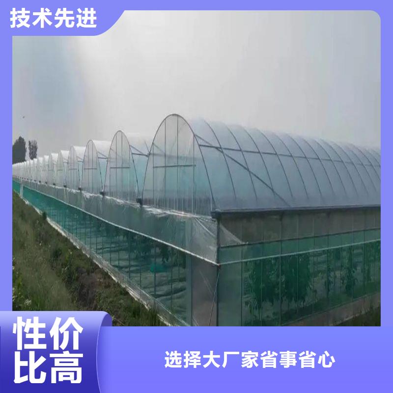 ​苗床源头厂家专注生产N年