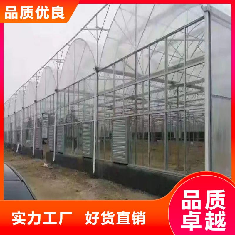 会理县尖顶温室怎么样大厂家实力看得见