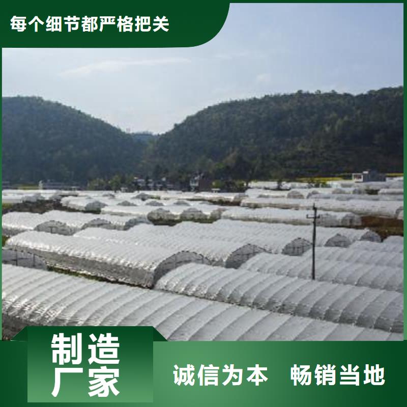4分大棚管销售厂家敢与同行比价格