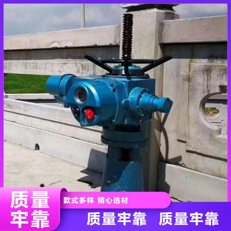 手电螺杆式启闭机供应商大厂家实力看得见