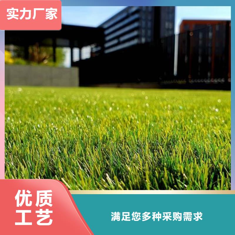 批发硅PU球场厂家_品牌厂家<本地>公司