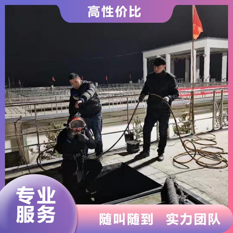 水下作业施工-满足客户的要求本地制造商