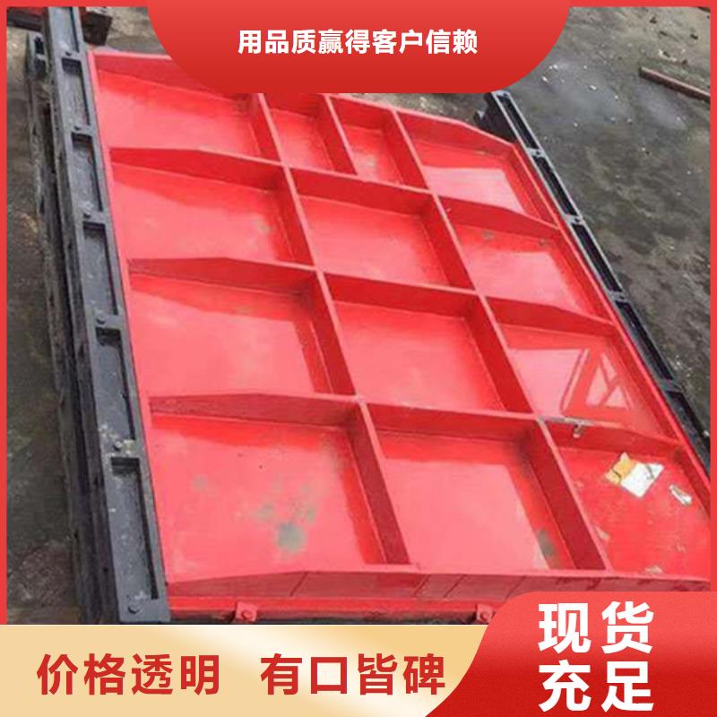 闸门启闭机_铸铁闸门螺杆启闭机-厂家报价{本地}品牌