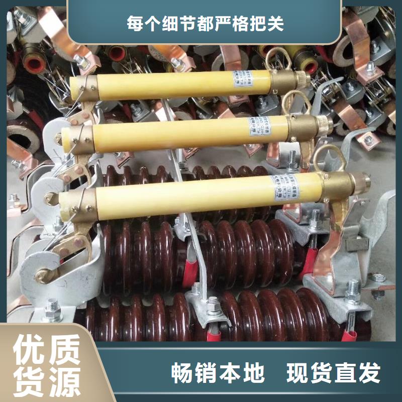 -跌落式熔断器HRW3-12/100A/产品作用信誉至上