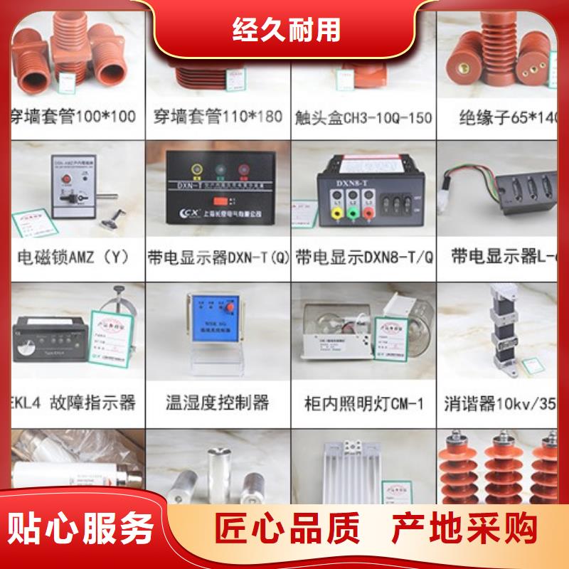 【】支持绝缘子：ZSW-145/8产地直销