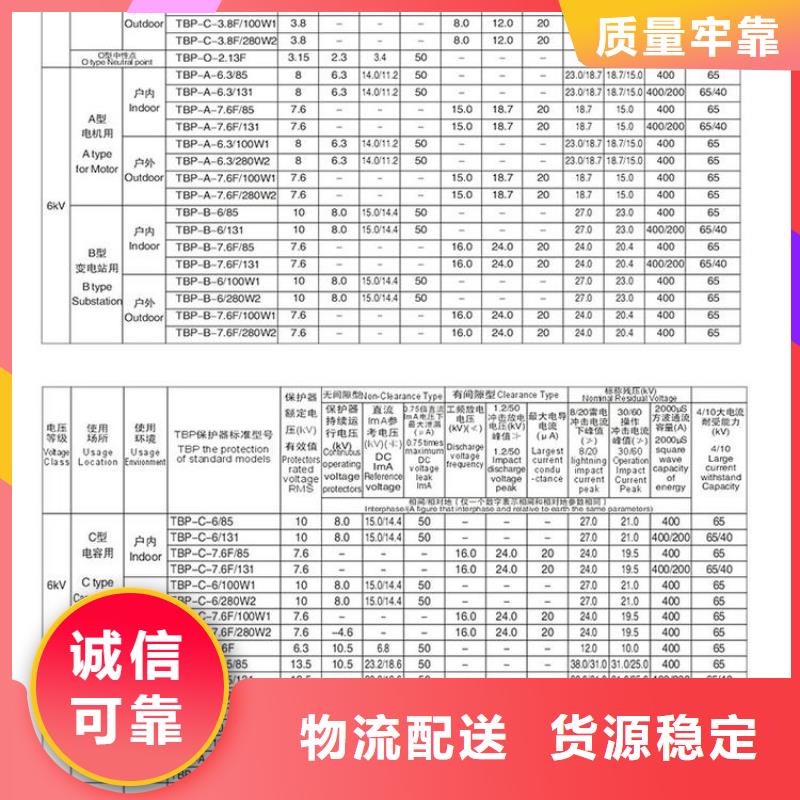 【避雷器/过电压保护器】TBP-A-12.7F/131-J[本地]供应商