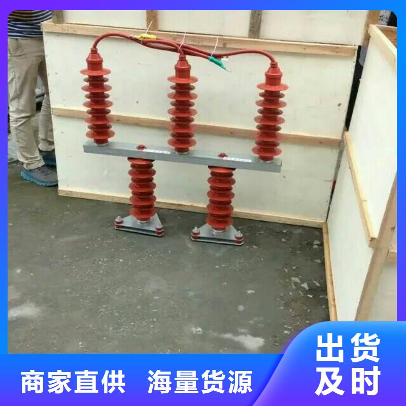 【组合式避雷器/过电压保护器】TBP-A-6.3/131实体诚信厂家