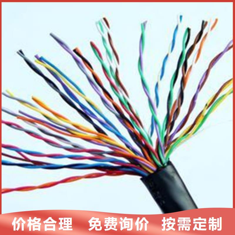 铠装DP通讯线1对0.2品质服务