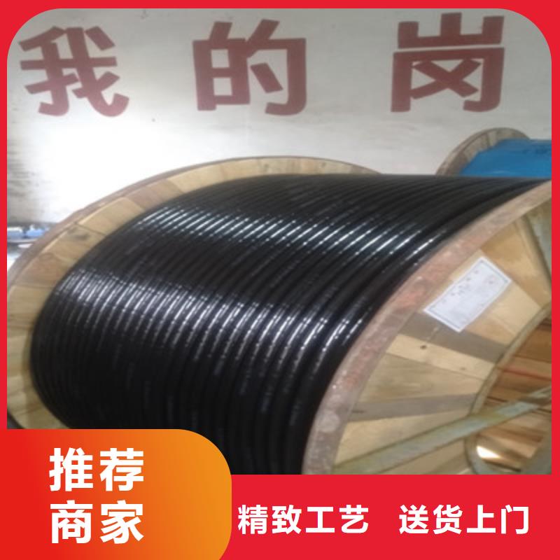 音频电缆HYPV为您服务【本地】公司