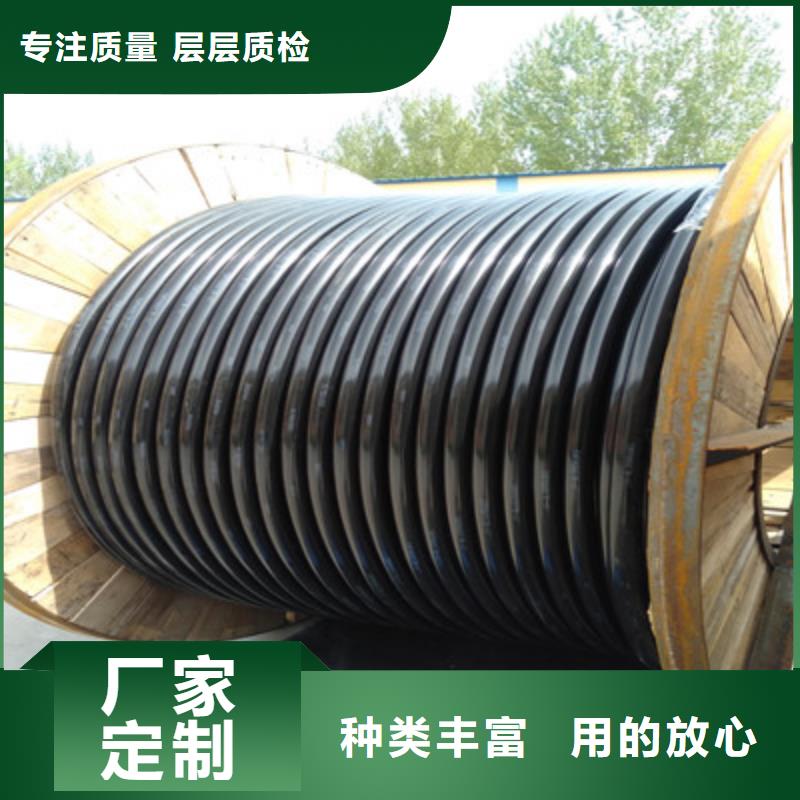 RS485-22铠装通讯电缆了解更多当地公司
