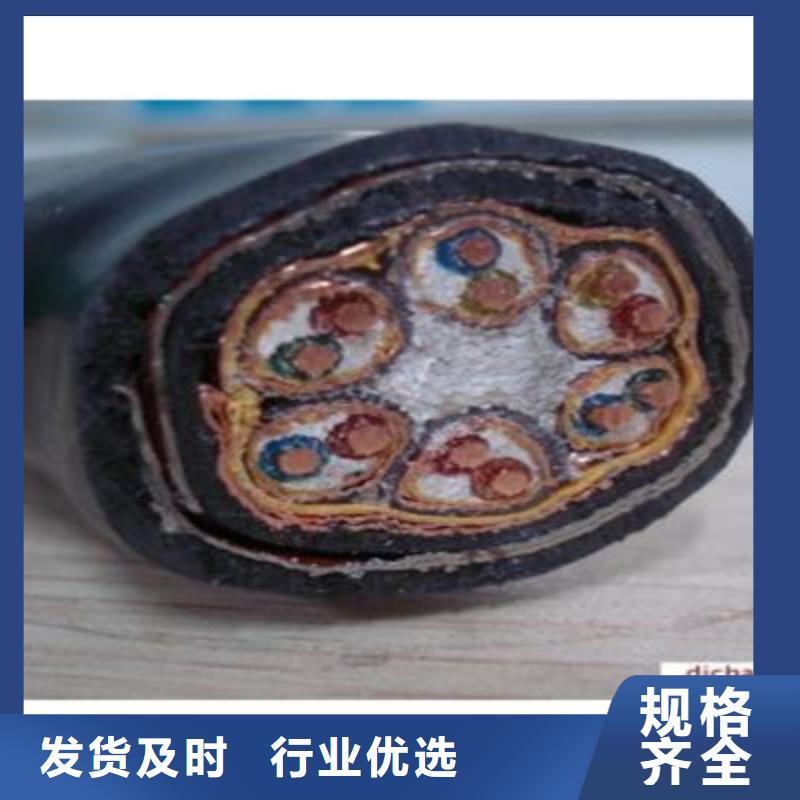 DJYP2V铠装计算机电缆5X2X1.0本地厂家