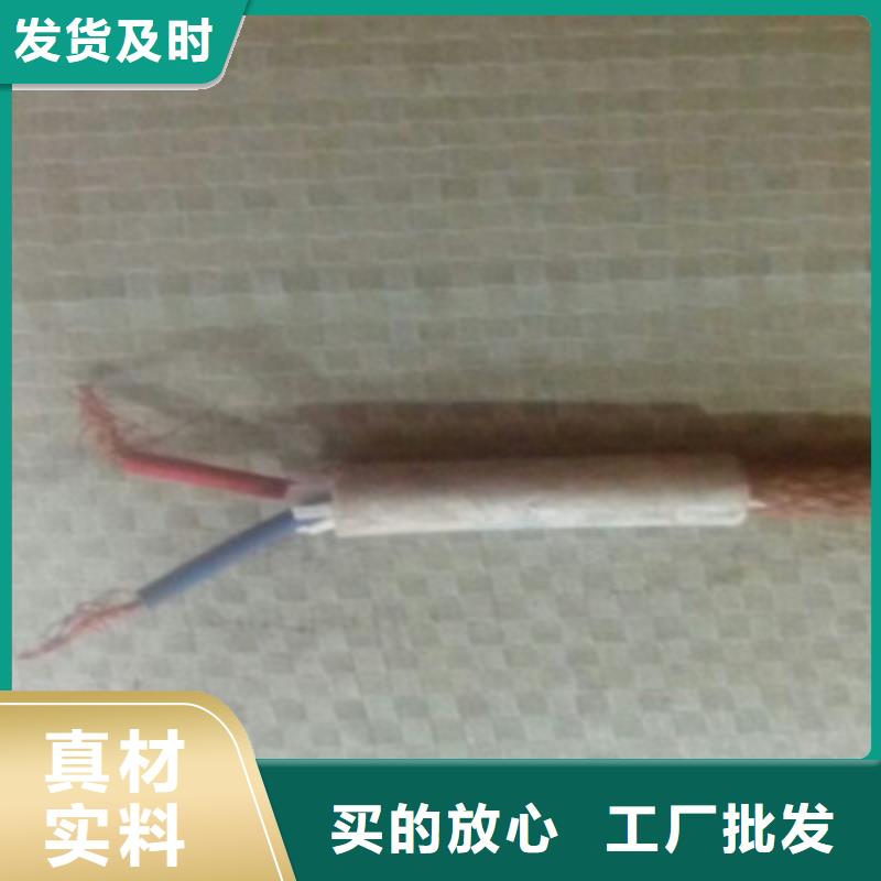 耐火计算机电缆NH-DJYVP319X2X1.0一站式供应