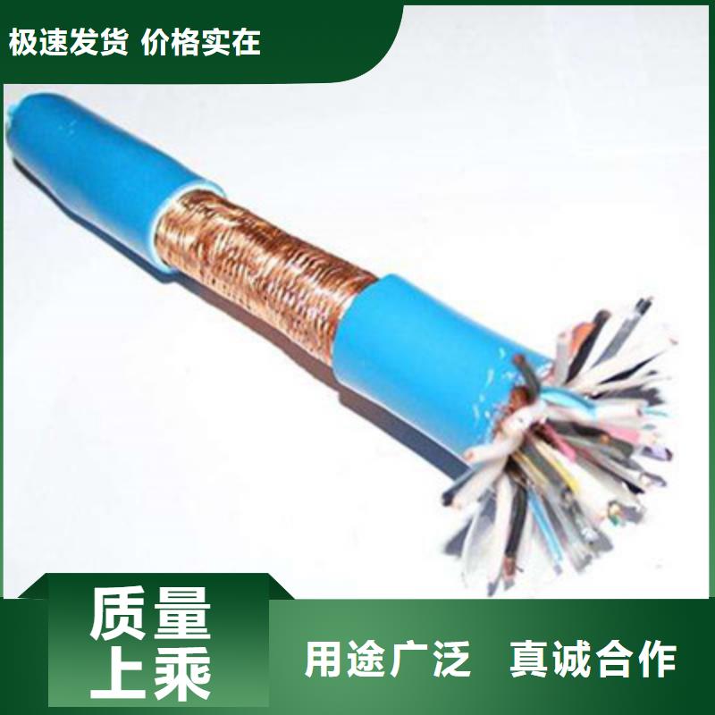 DJYJPVR计算机屏蔽电缆-DJYJPVR计算机屏蔽电缆供货商专业信赖厂家