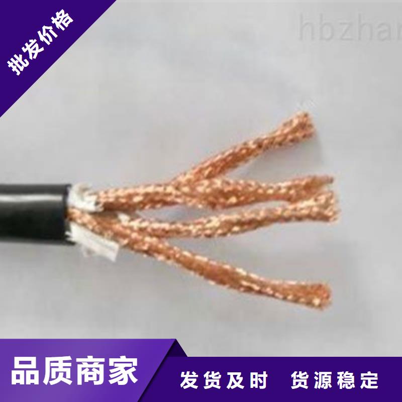 耐火计算机电缆NH-DJVP3V2230X2X1.0【本地】品牌