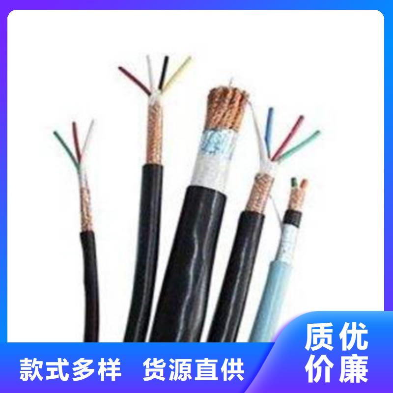 耐火计算机电缆NH-DJYPV22按需定制厂家经验丰富
