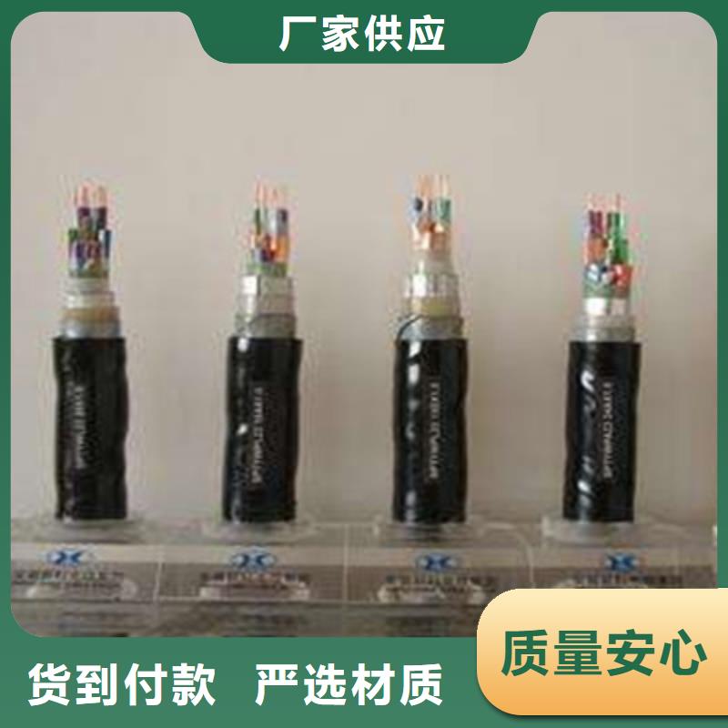 低烟无卤PZYA22铁路信号电缆42芯【本地】经销商