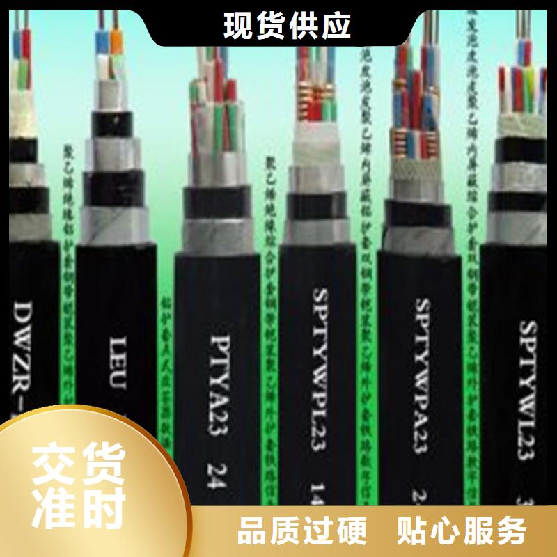 铁路信号线缆PVV22中心出厂严格质检
