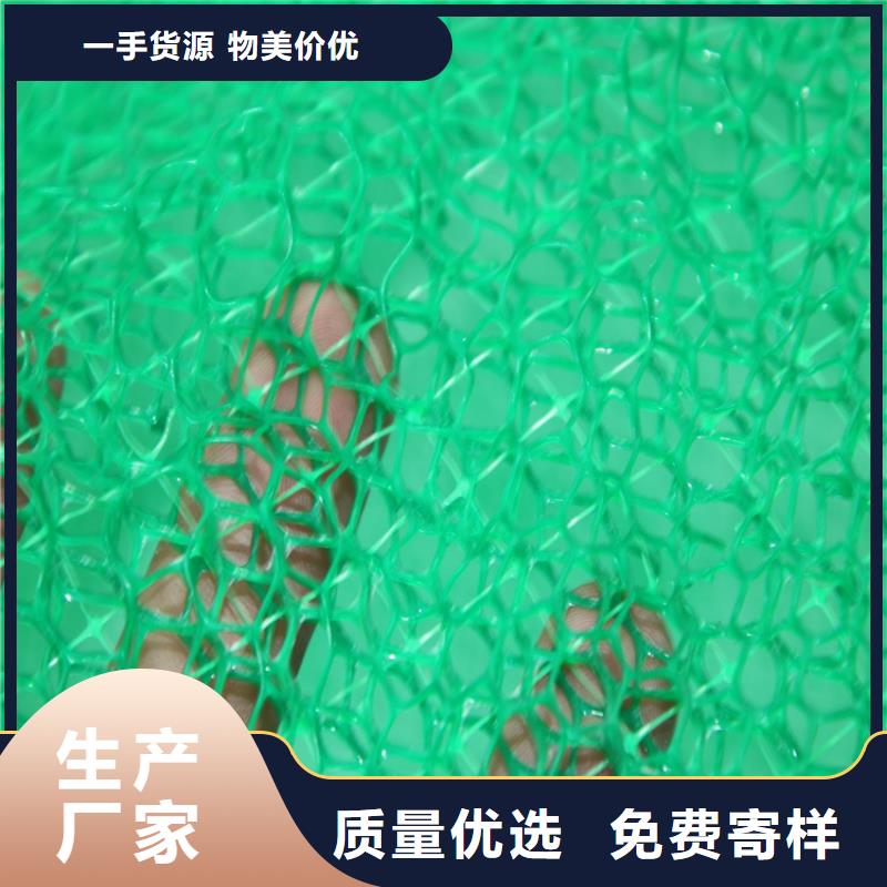 边坡EM2三维护坡植草网垫交货准时