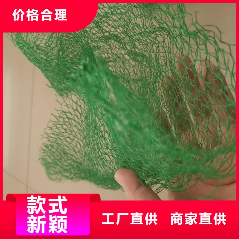 三维固土网垫护坡草皮大厂生产品质