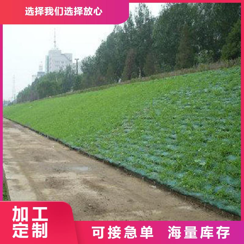 EM4加筋三维植被网货源直销
