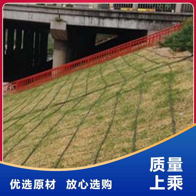 水保抗冲生物毯型号规格交货准时
