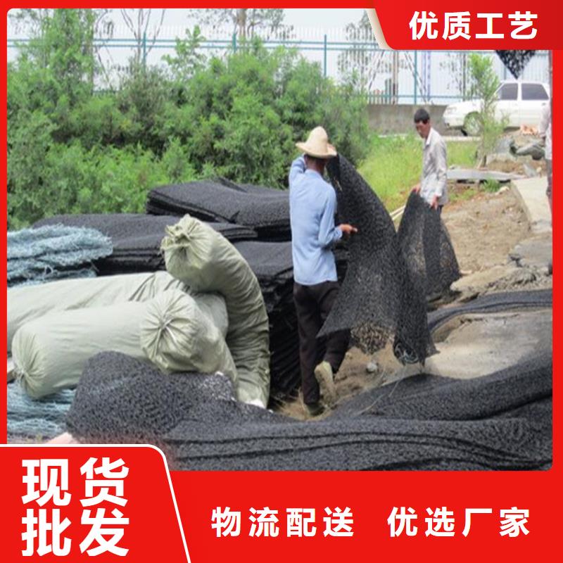 塑料渗排水网垫放心购