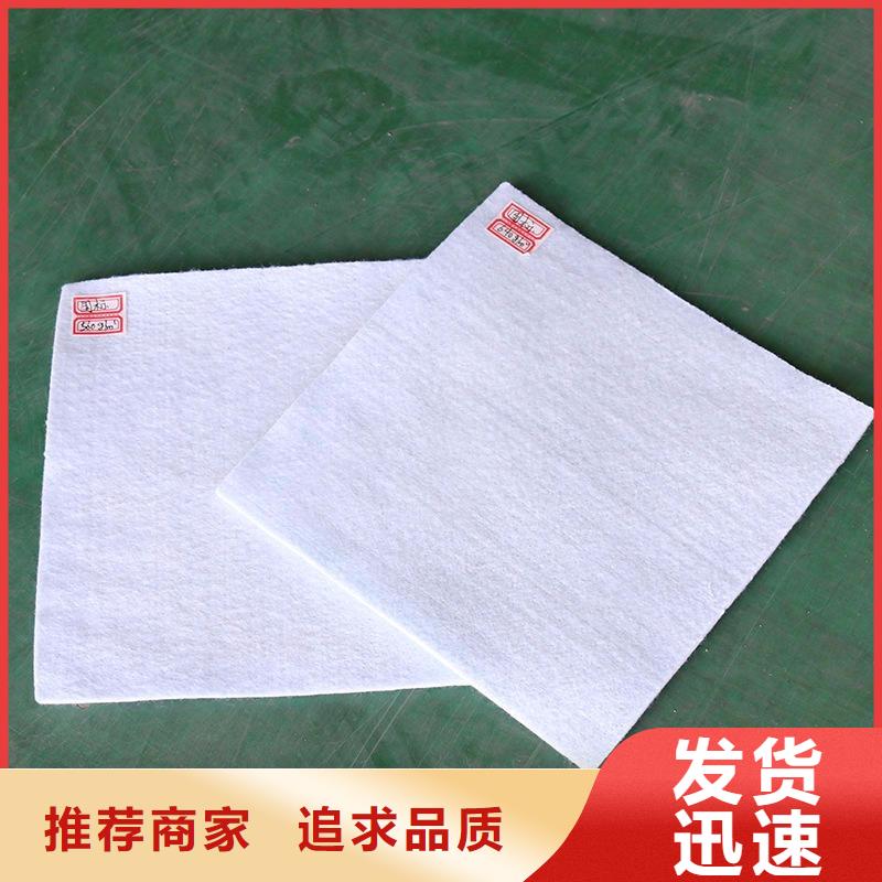 土工布价格优惠专注细节更放心