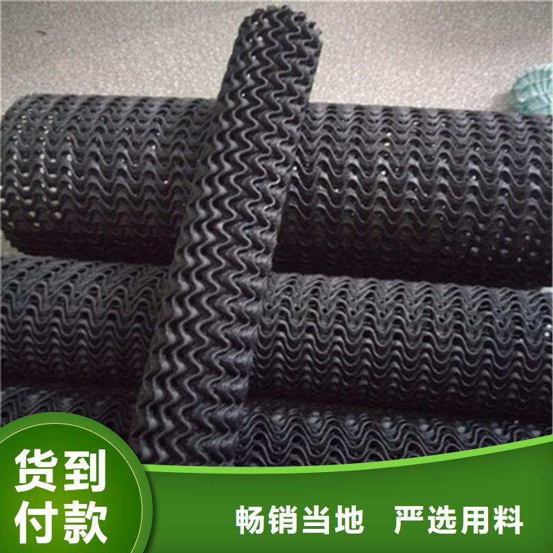 PE硬式透水管国标直径50工厂直供