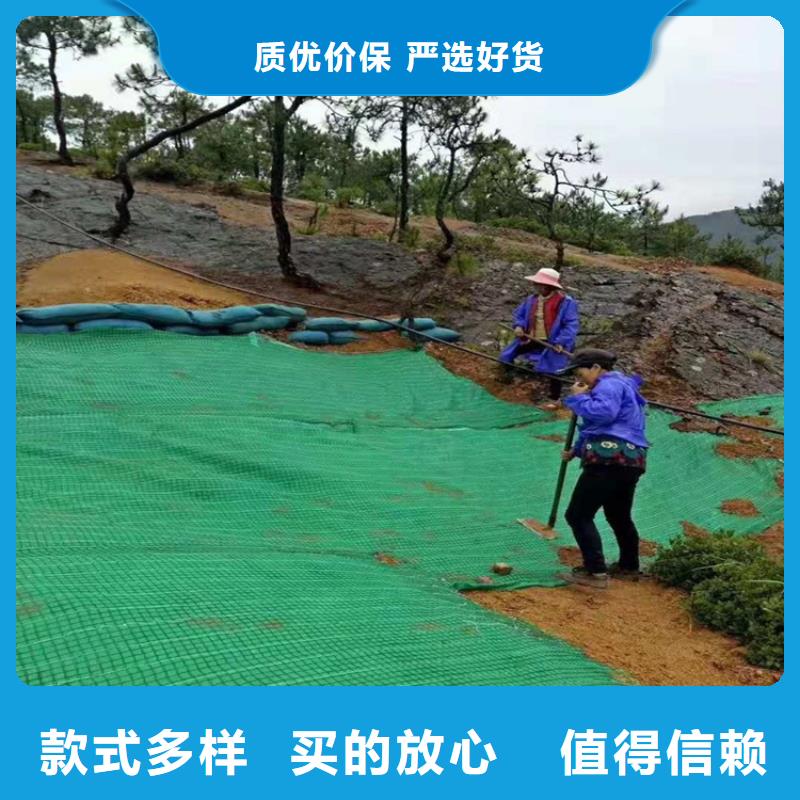 加筋椰丝毯优点多种款式可随心选择