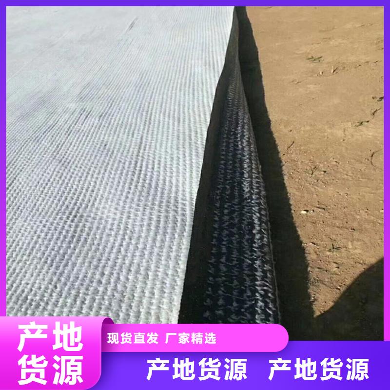 3000g钠基膨润土防水垫<本地>公司