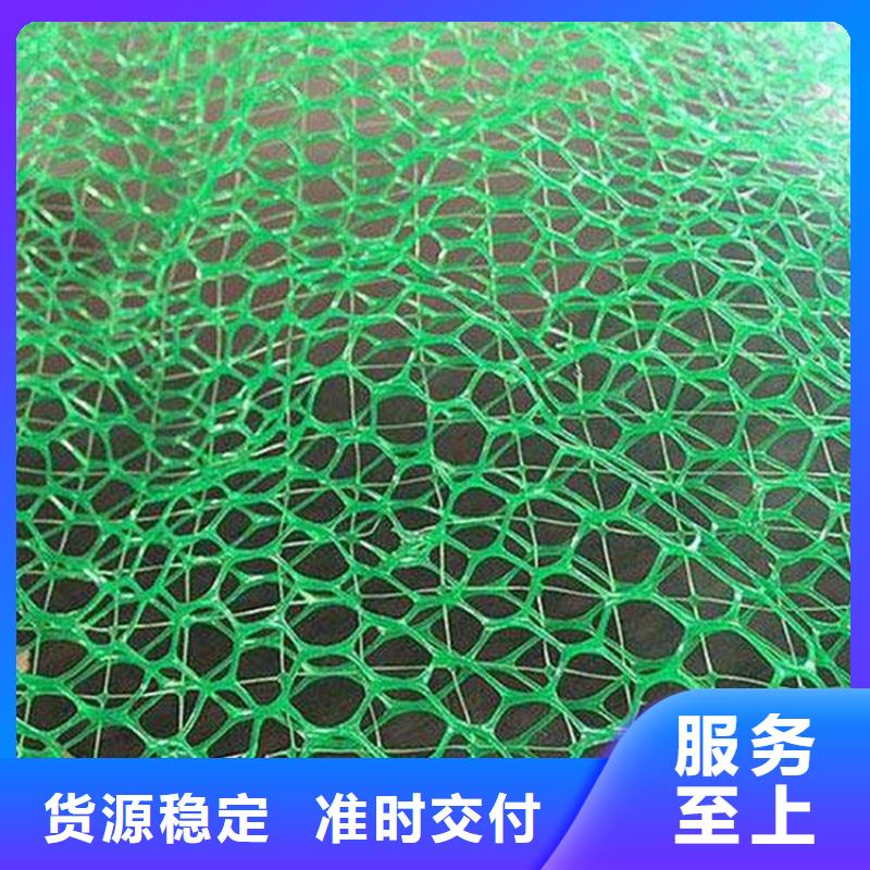 绿化EM4三维植被网实力公司