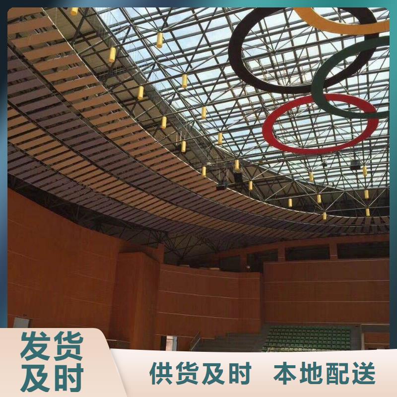 田阳县大型体育馆声学改造方案--2025近方案/价格{当地}服务商