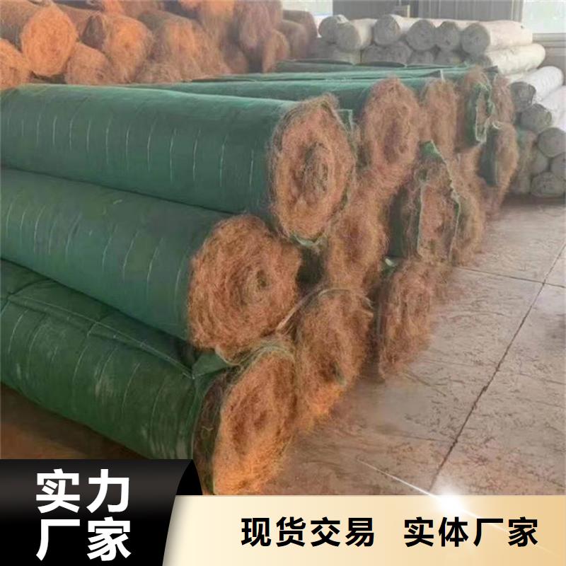 加筋抗冲生态毯代理经销/多少钱一平当地供应商