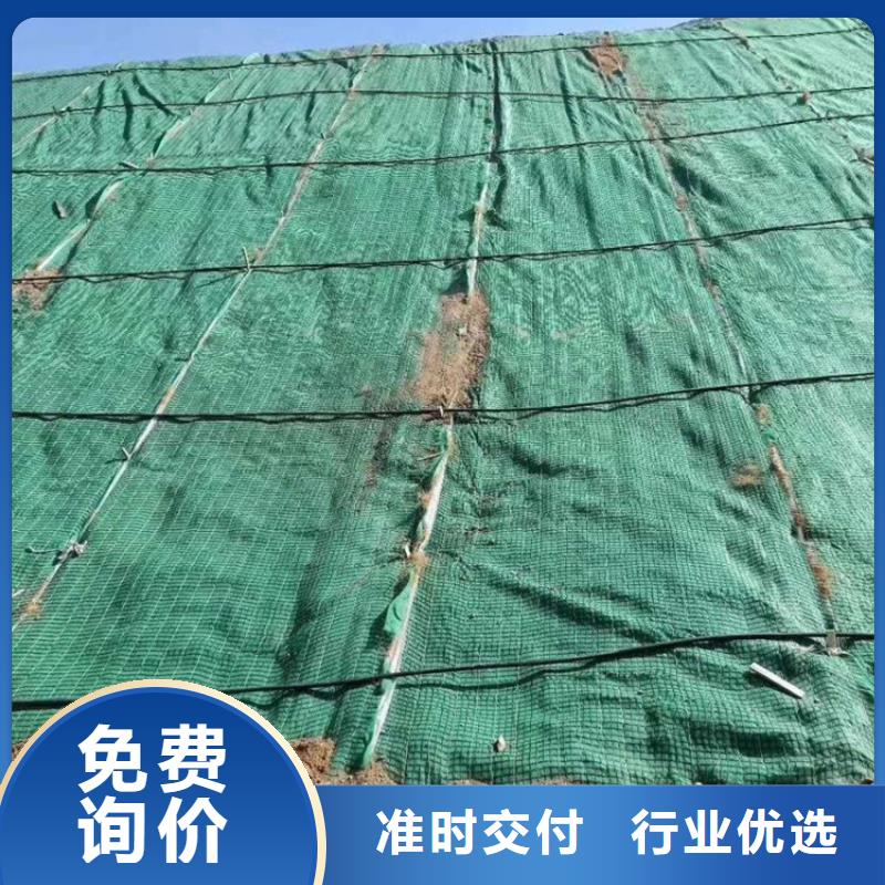 加筋抗冲生态毯环保领域施工本地生产厂家