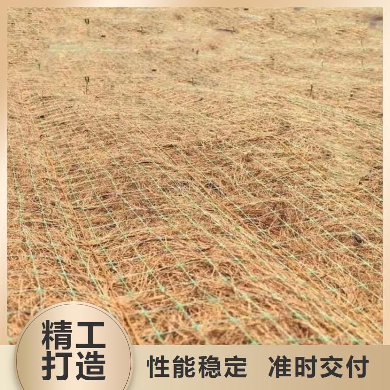 护坡植被植草毯-植物纤维毯规格齐全生产型