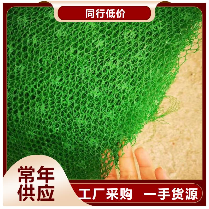 三维植被网-三维固土网垫本地经销商