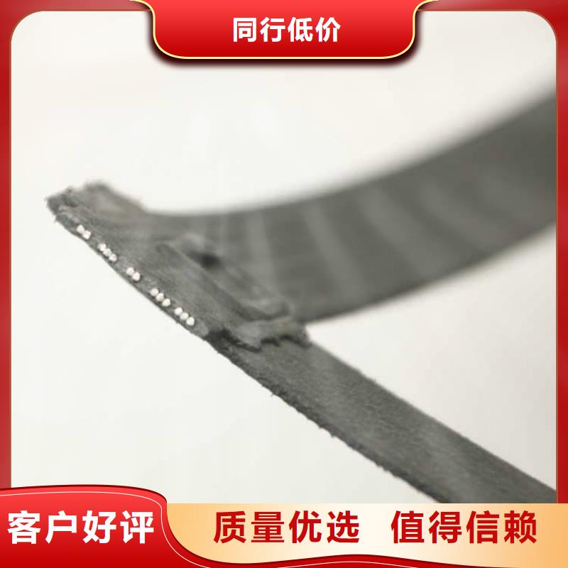 玻纤格栅-加筋玻纤土工格栅-PP焊接土工格栅适用范围广