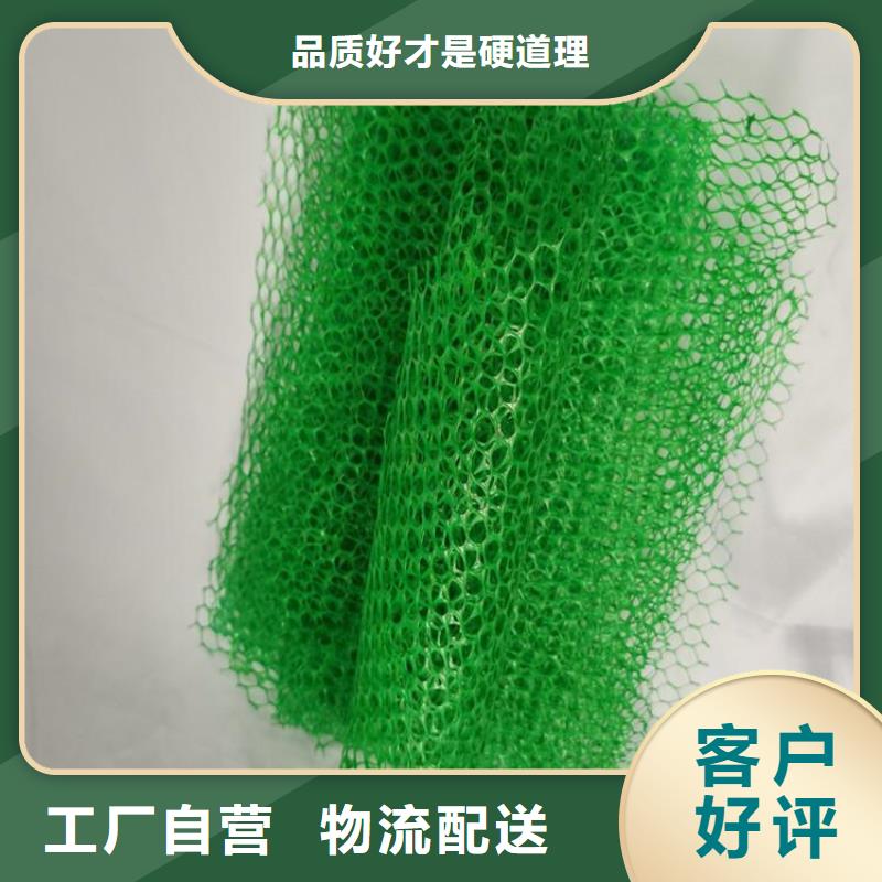 三维土工网垫价格新闻已更新实体厂家