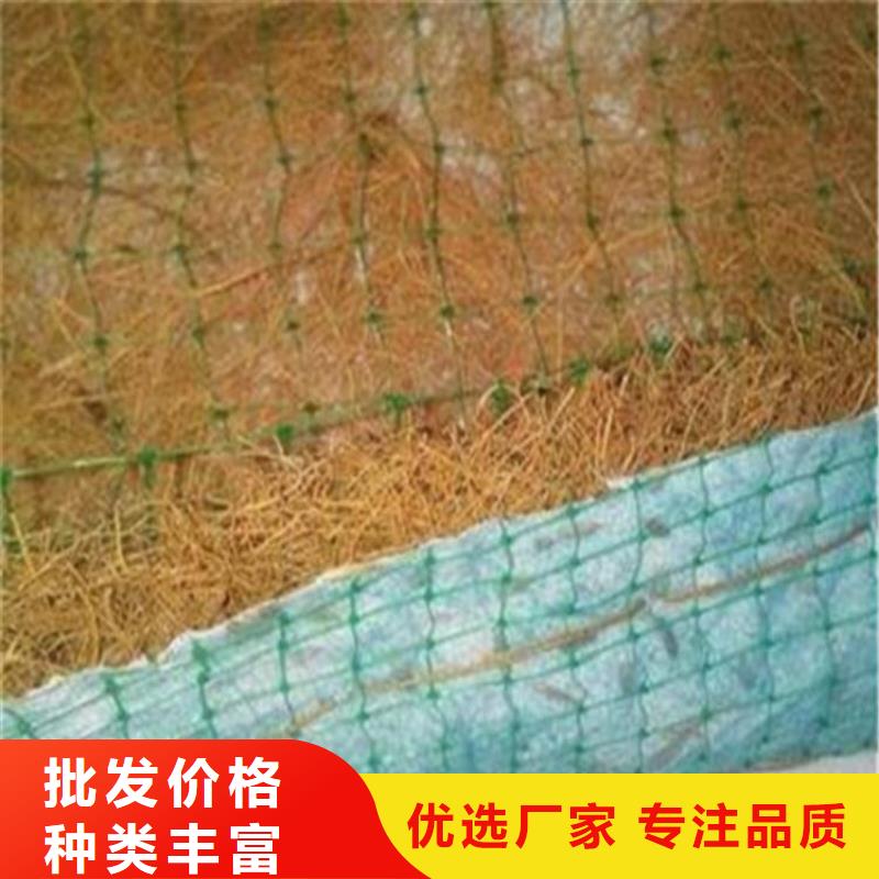 加筋抗冲生物毯-植草绿化毯-椰丝护坡毯匠心品质