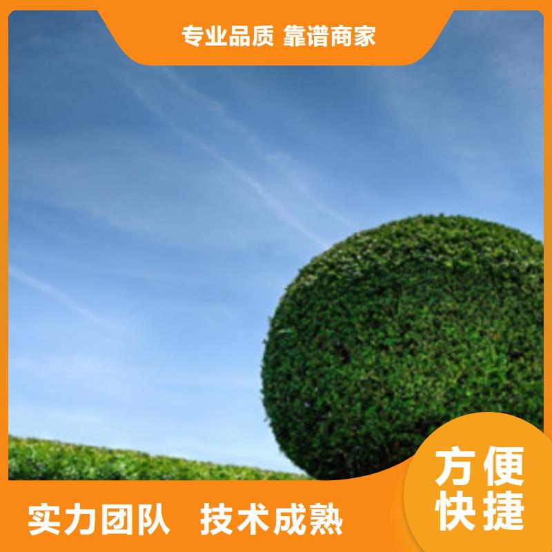 做工程预算安装[本地]品牌
